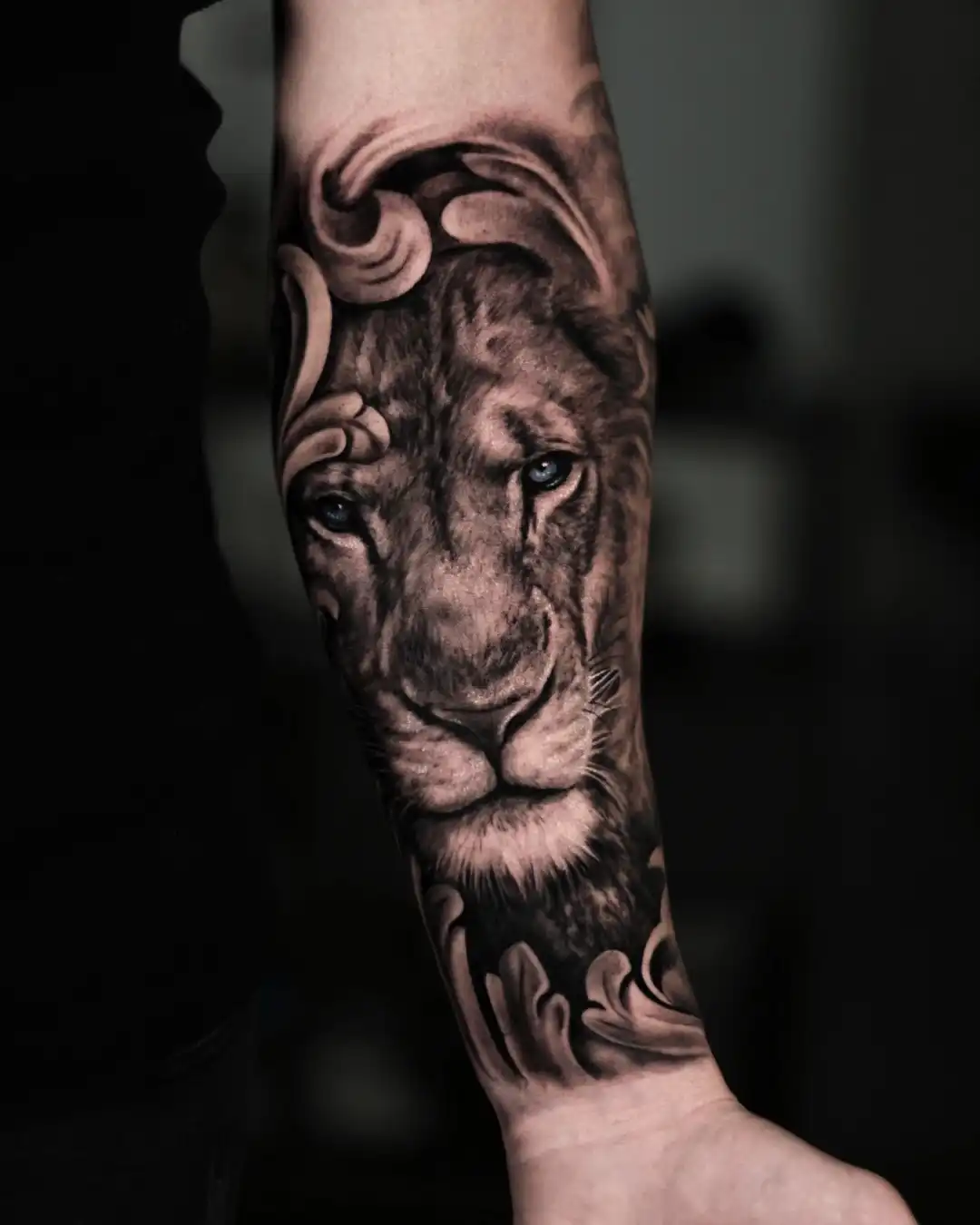 tatuaje-leon-realista-antebrazo